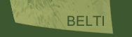 BELTI ltd.